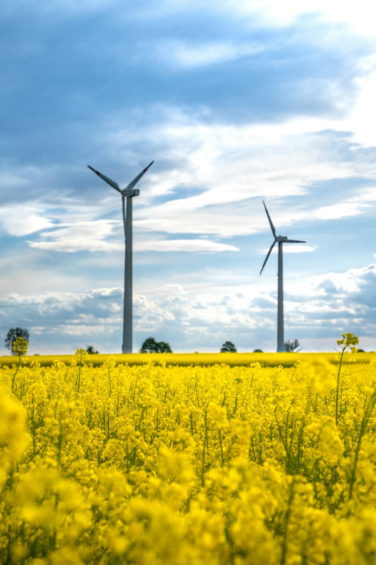Pollution/Environmental Liability